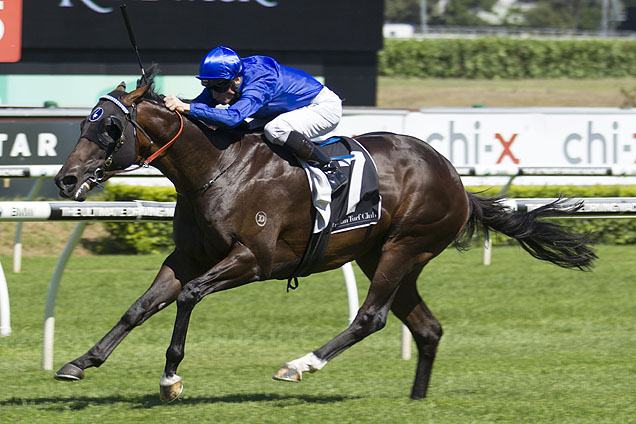 Holler will barrier trial at Randwick on Saturday as he prepares for the 2016 Royal Ascot carnival.