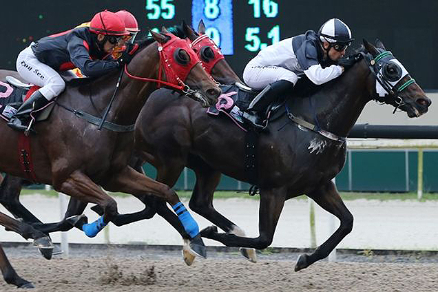 Honest Truth winning the KRANJI STAKES C