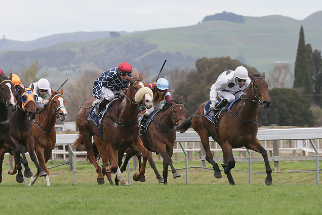 Honey Rider(white cap) winning the H.Bay Breeders Gold Trail Stks