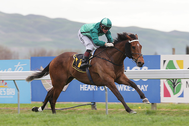 Humidor winning the Aon Insurance Brokers Hcp Humidor winning the Aon Insurance Brokers Hcp