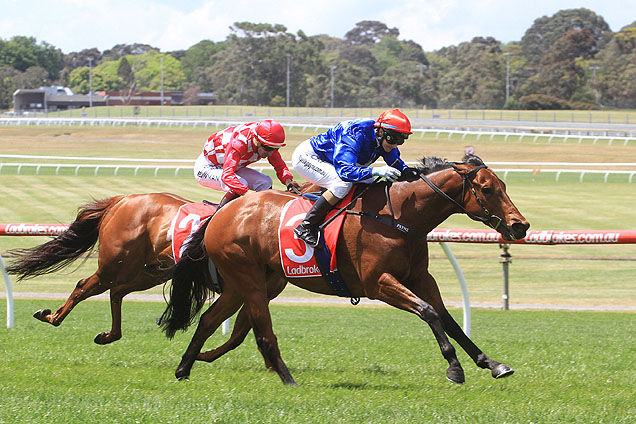 Husson Eagle winning the Doveton Stakes