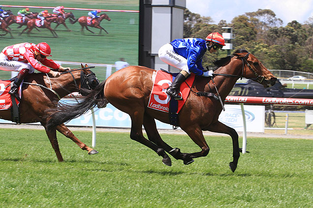 Husson Eagle winning the Doveton Stakes