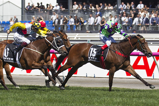 I Am A Star winning the Myer Classic