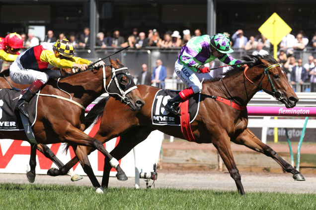 I Am A Star winning the Myer Classic