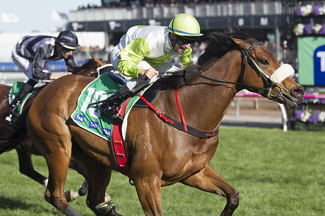 Illustrious Lad heads betting Illustrious Lad heads betting