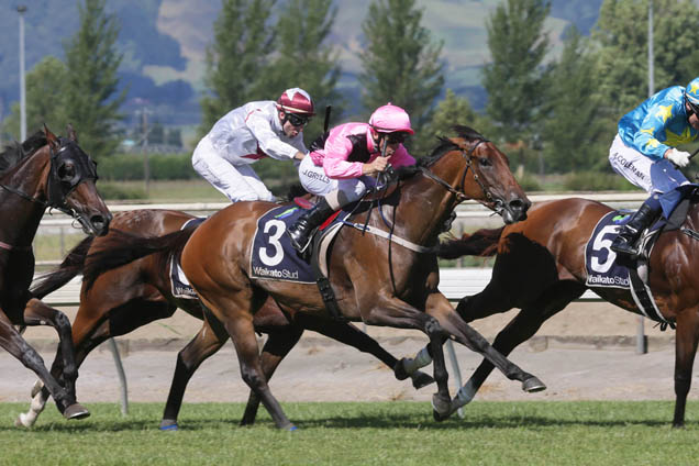 In Style winning the Norwood Farm Mach. Centre Hcp