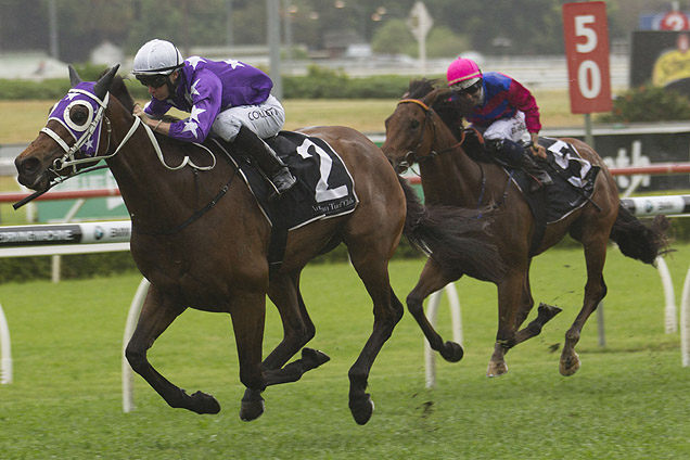 Invincibella looks well placed at Moonee Valley