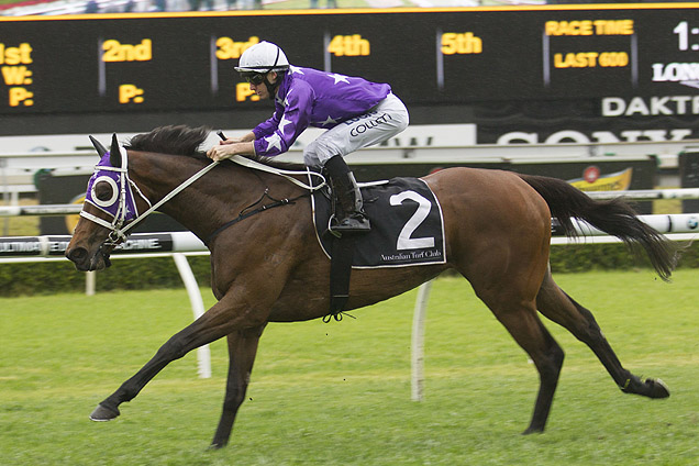 Invincibella on the march at the Valley Saturday