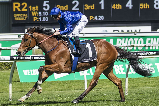 It's Somewhat winning the Apn Outdoor Craven Plate