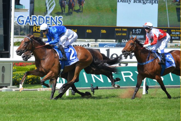 It's Somewhat winning the Neville Sellwood Stks