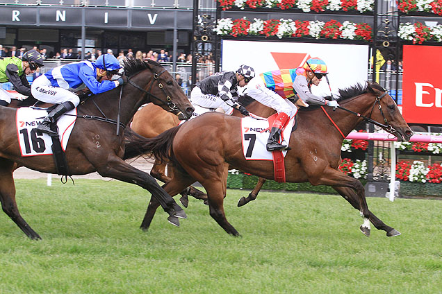 Jessy Belle winning the Matriarch Stakes