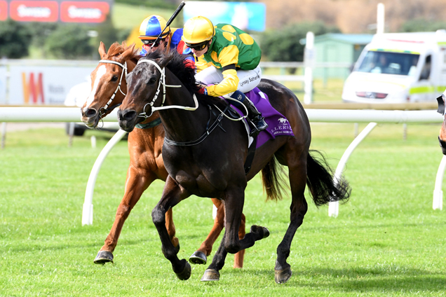 Joey Jonz winning the Bridges Insurance Hcp