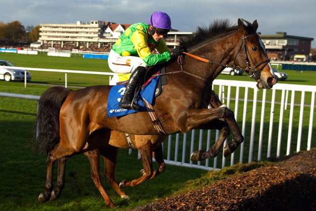 Kauto Star on his way to winning the 2006 Betfair Chase