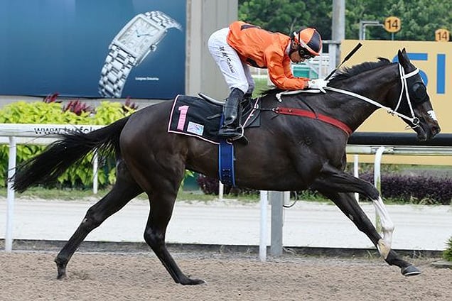 Kam's Comet winning the OPEN BENCHMARK 89