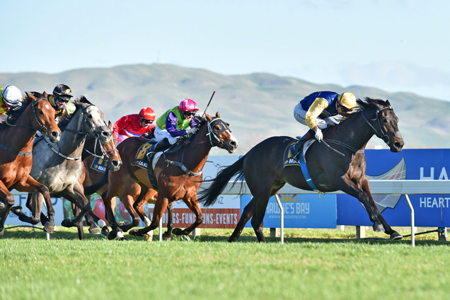 Kawi winning the Makfi Challenge Stakes