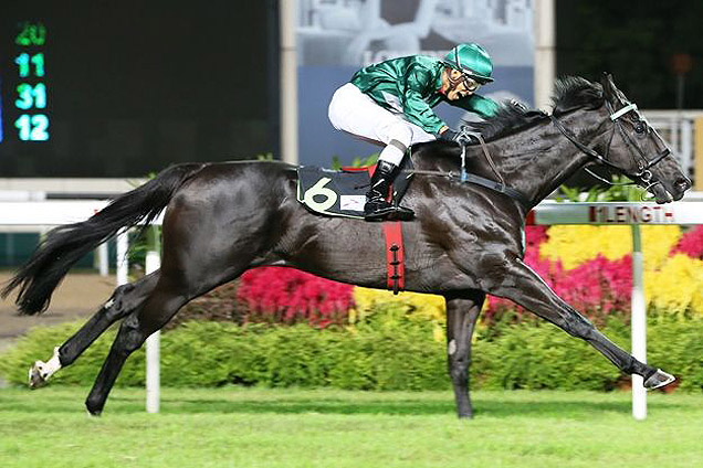 Kevin Eleven winning the SCOTIABANK CUP KRANJI STAKES D