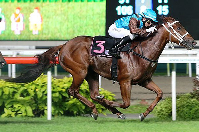 Kiwi Karma winning the KRANJI STAKES A