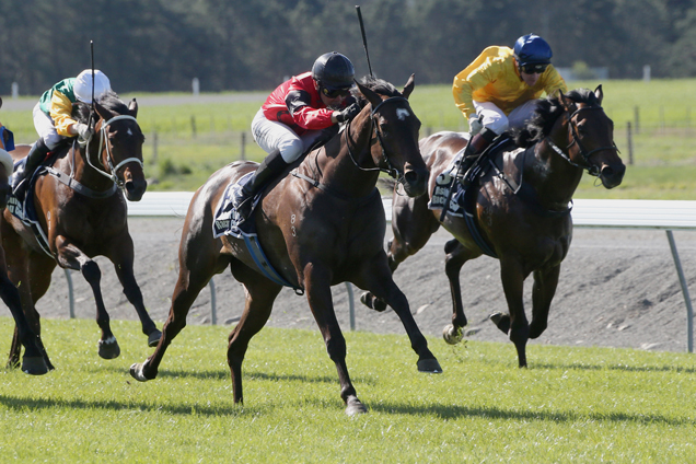 La Diosa winning the Barneswood Farm Stakes