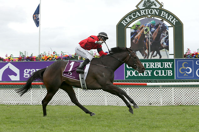 La Diosa winning the Gavelhouse.Com Nz 1000 Guineas