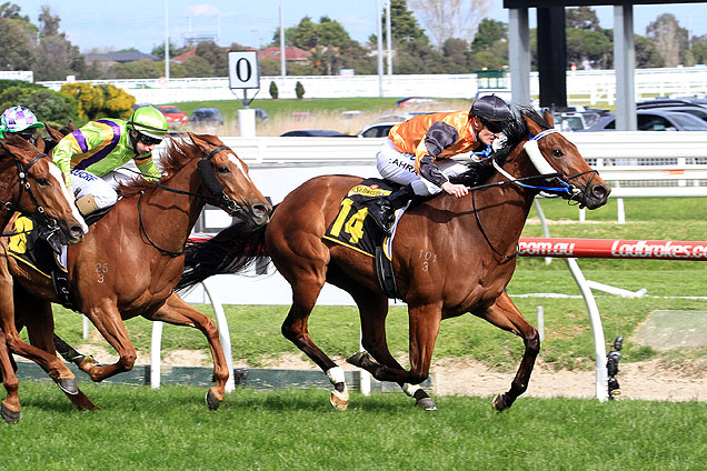 Legless Veuve wins at Caulfield