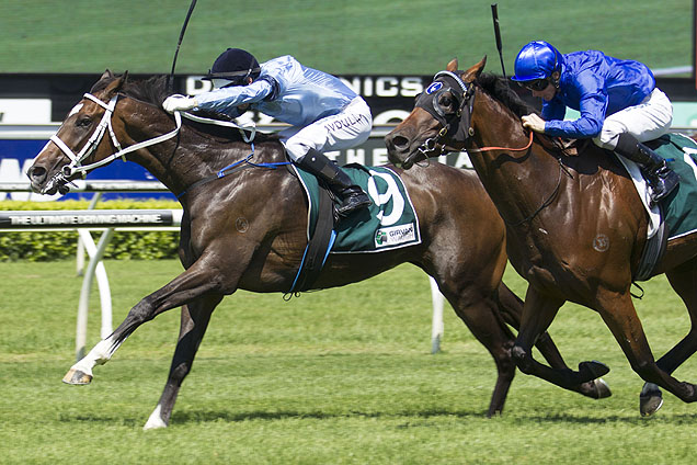 Libran can show his Sydney Cup credentials