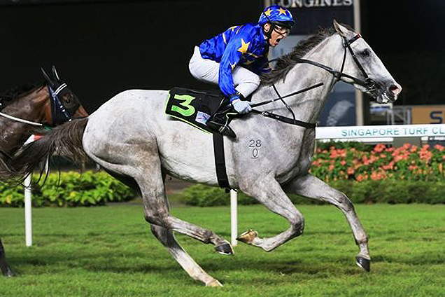 Lim's Action winning the KRANJI STAKES D