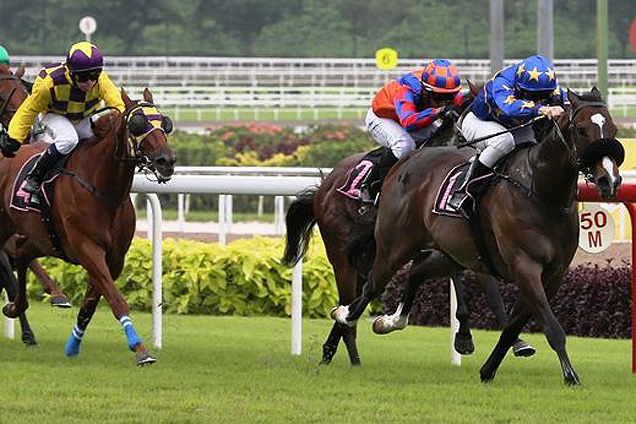 Lim's Rally winning the GINGERBREAD MAN 2011 STAKES CLASS 3