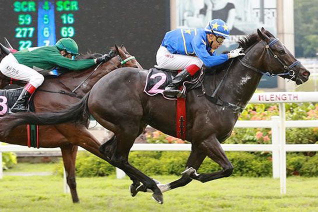 Lim's Showcase winning the MR BIG 2011 STAKES CLASS 4