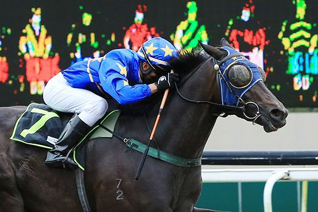 Lim's Showcase winning the MANOEL NUNES STAKES CLASS 3