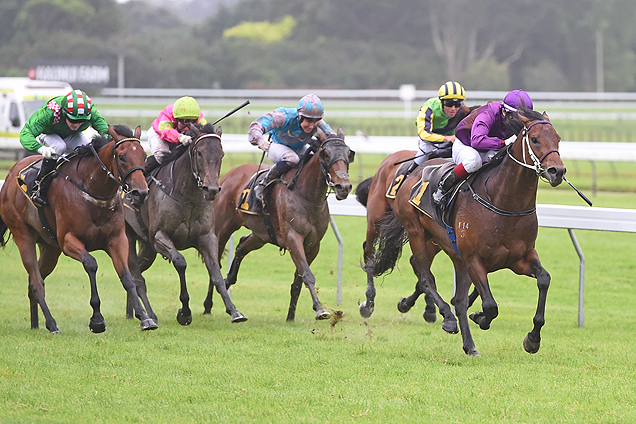 Lincoln Blue winning the Lucia Valentina Wellington Stk