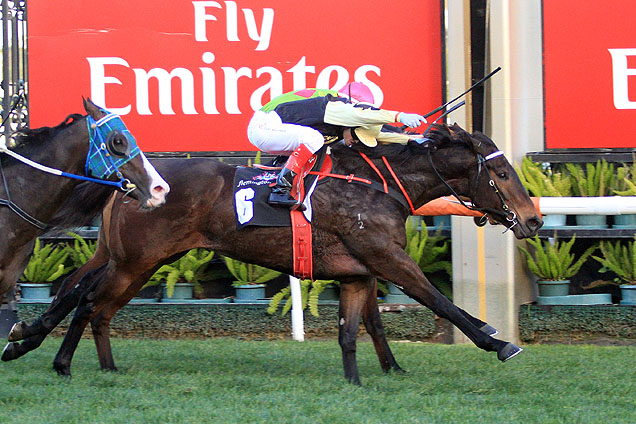 Lord Von Costa winning the A.R. Creswick Series Final