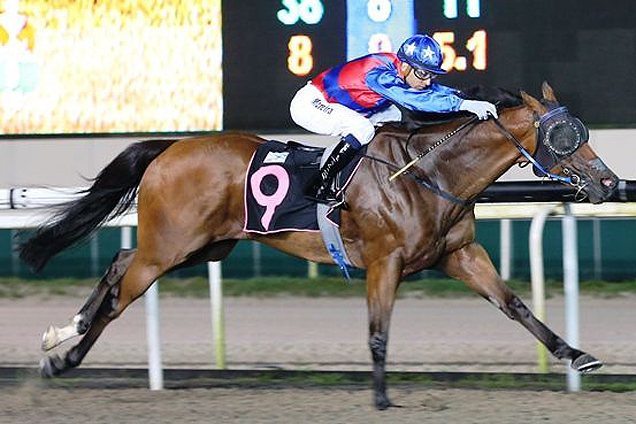 Louey Veloce winning the VICTORIA PEAK STAKES CLASS 4