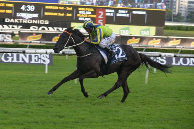 Lucia Valentina winning the Queen Elizabeth Stakes.