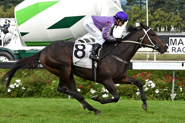 Mabeel winning the Fairdale/Goodwood Studs Fly