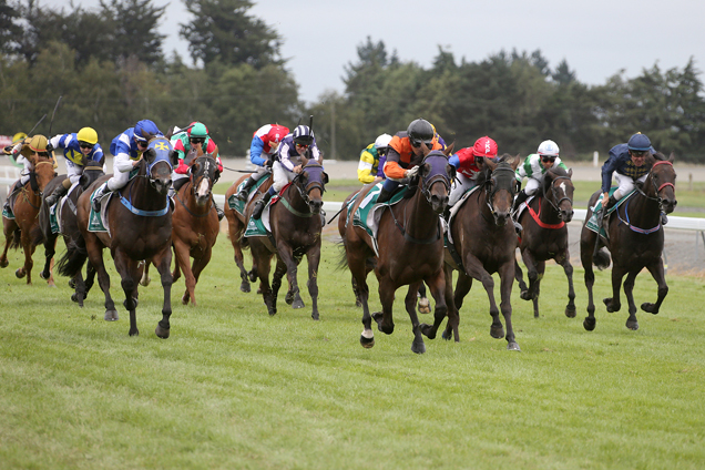 Madam Victoria winning the Speight's Timaru Stakes