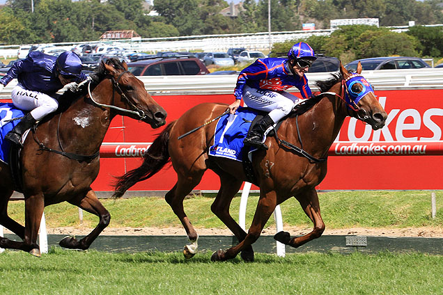 Mahuta steps up to 1800m for the first time in Saturday's Autumn Classic at Caulfield.