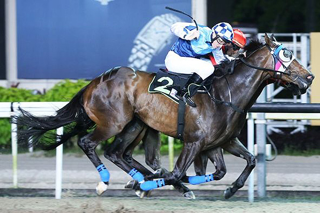 Marine Treasure winning the KRANJI STAKES D