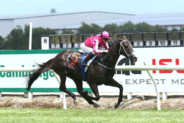 Matimba winning the Lodge City Rentals Hcp