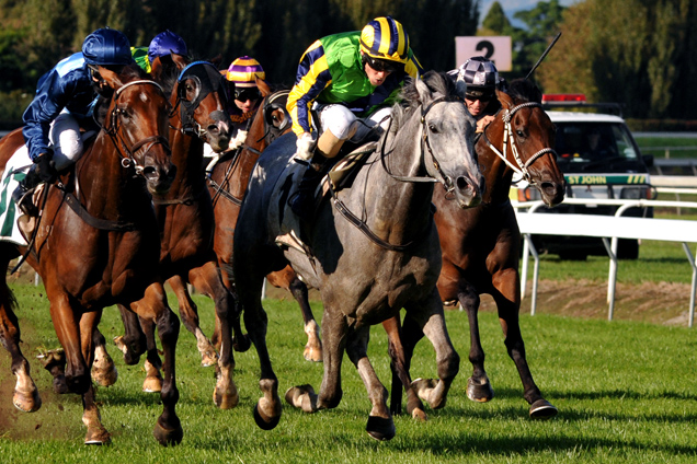 Maygrove winning the Kamada Park Awapuni Gold Cup