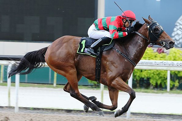 Mighty Warrior winning the KRANJI STAKES C