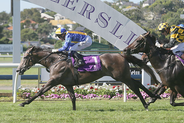 Mime winning the McKee Family Sunline Vase