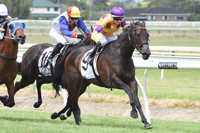 Miss Appleton winning the Kamada Park Manawatu Challenge