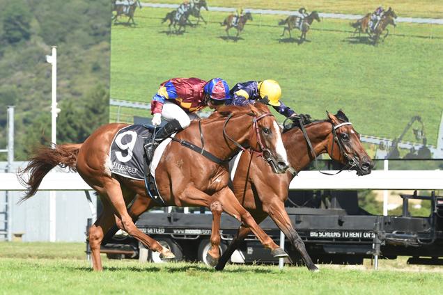 Mister Impatience(Inside) winning the Wallaceville Wellington Cup