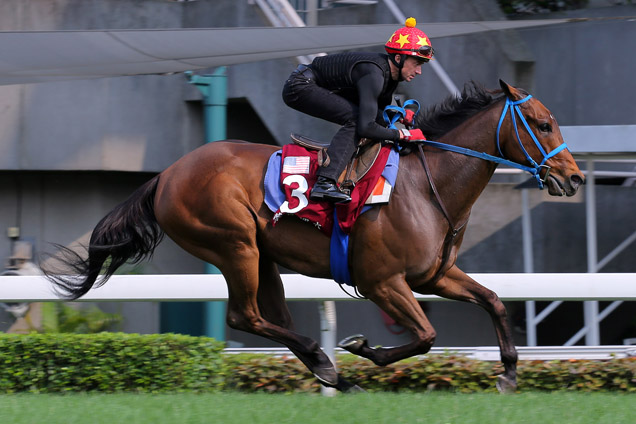 Mongolian Saturday at trackwork