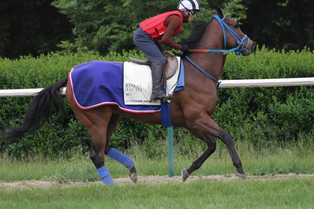 Mongolian Saturday parading on 09 Jun, 2016 at Newmarket