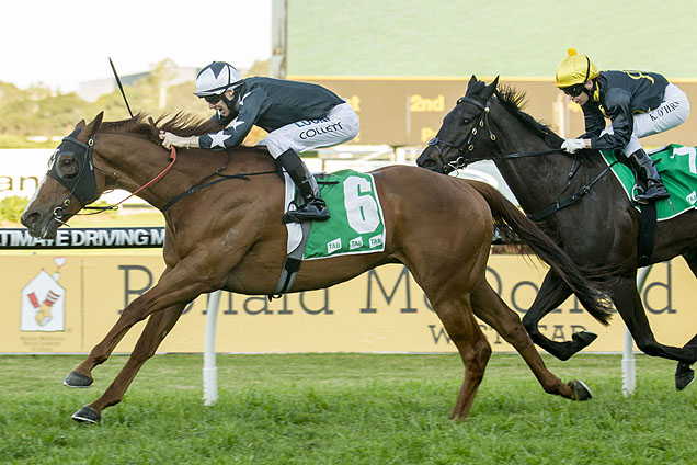 Moral Victory winning the Shannon Stakes