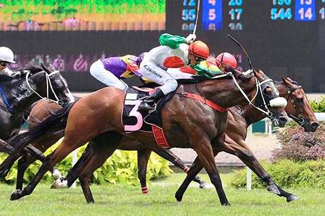 Murdoch winning the PANASONIC INNOVATION STAKES KRANJI STAKES D