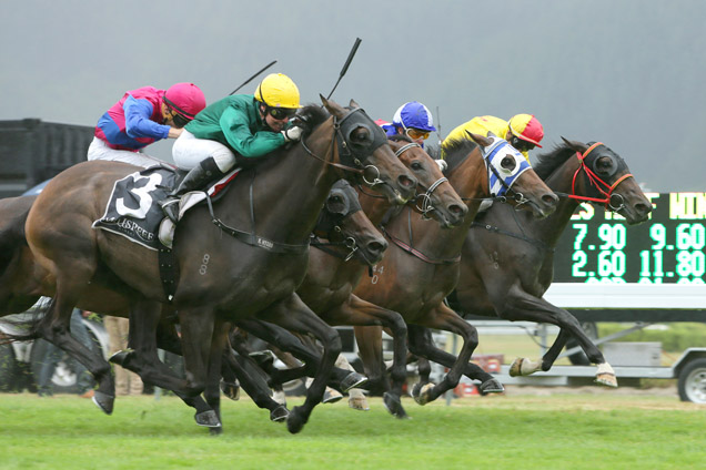 Nashville(outer) winning the Mills Reef Trentham Stakes