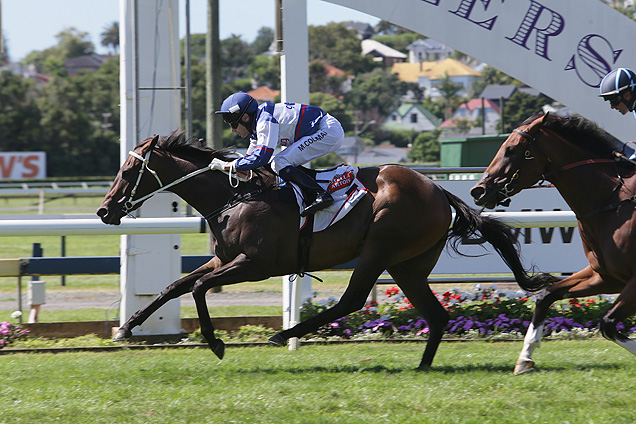 No More Tears will run next in the 2016 Hawkesbury Guineas.