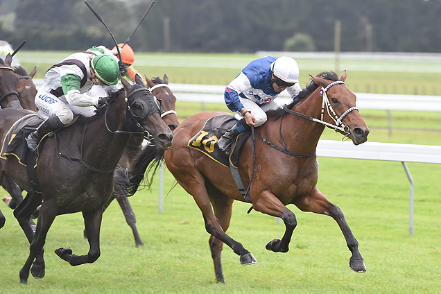 North And South winning the Chainey's Panasonic Levin Stks